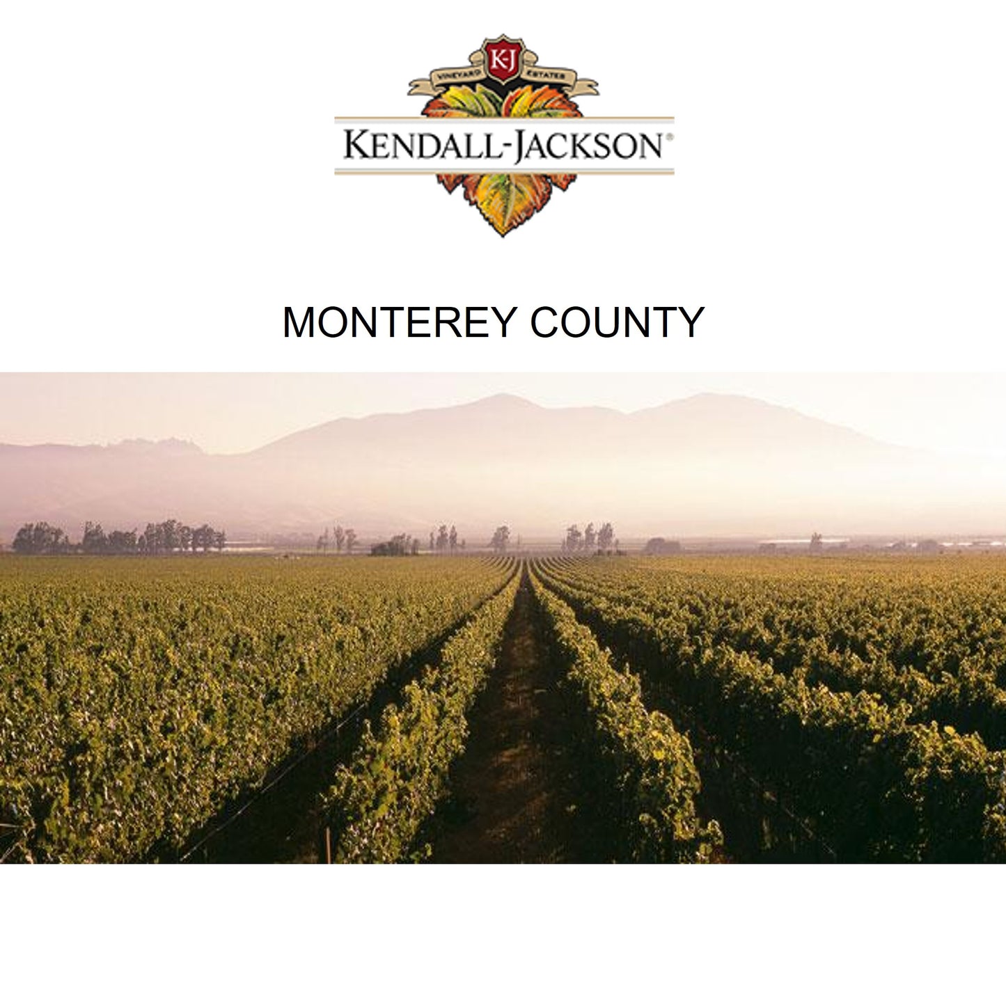Kendall Jackson Vintner's Reserve Chardonnay - White Wine 2023