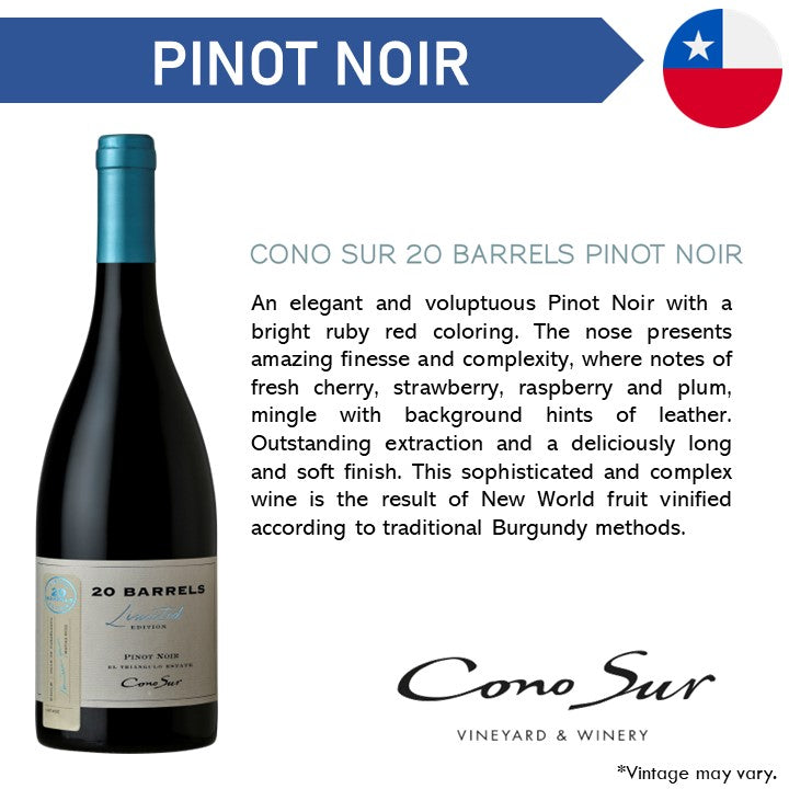 Cono Sur 20 Barrels Pinot Noir - Red Wine 2019