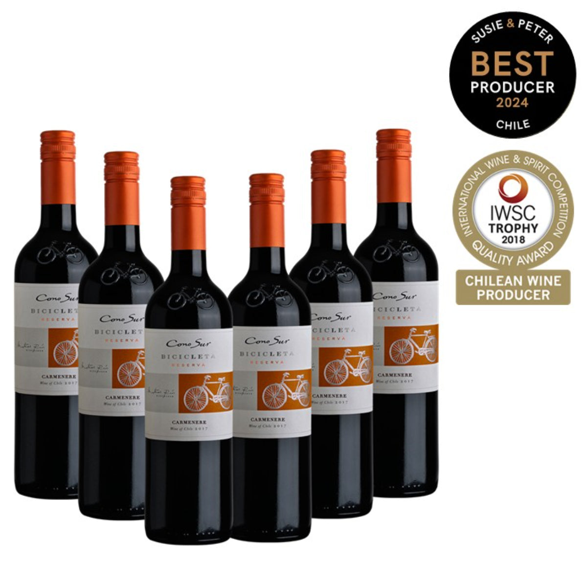 Cono Sur Bicicleta Reserva Carmenere - Red Wine - Case6