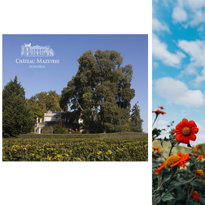 Chateau Mazeyres Pomeral AOP (BIO Organic) - Red Wine 2017