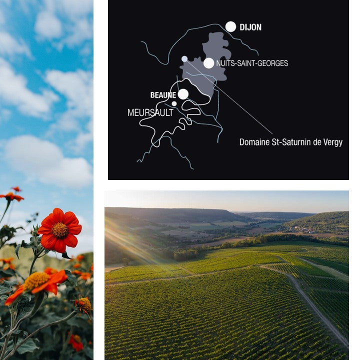 Domaine Saint Saturnin de Vergy Bourgogne Cote de Nuits Pinot Noir - Red Wine 2020
