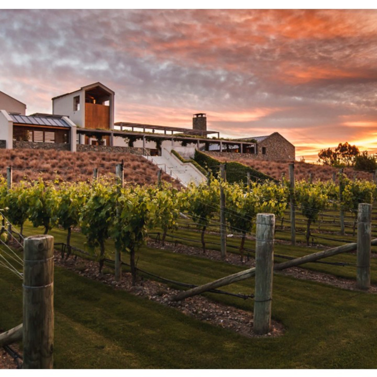Wither Hills Marlborough Rose - Rose Wine 2023