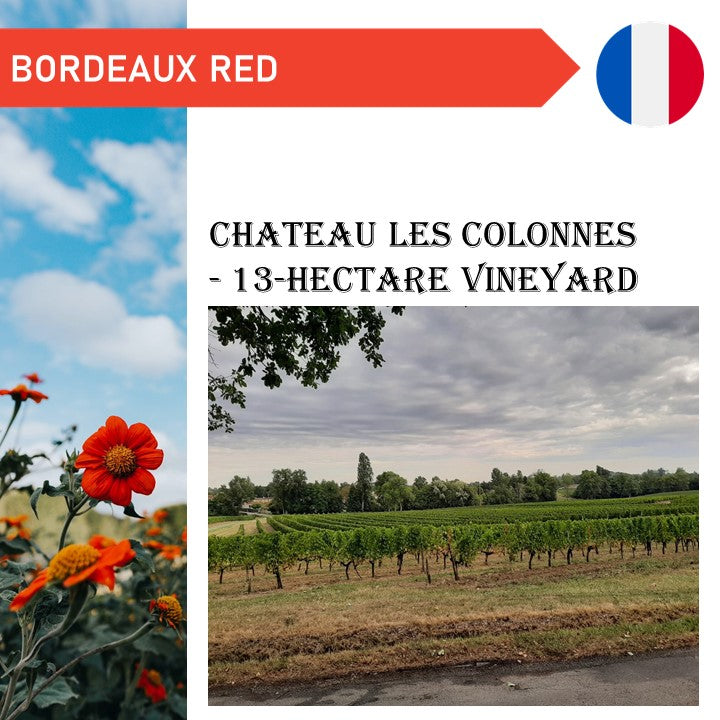 Chateau Les Colonnes Bordeaux - Red Wine 2020