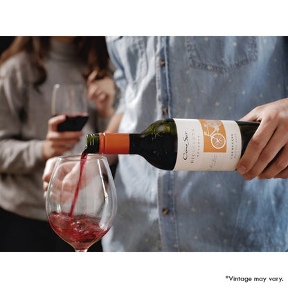 Cono Sur Bicicleta Reserva Carmenere - Red Wine - Case6